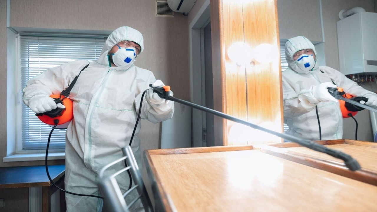 Implement Pest Control Measures